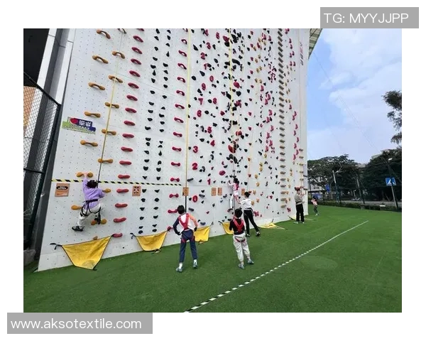 武汉攀岩队的成长之路极限运动联赛特别报道展现勇气与坚持的精神